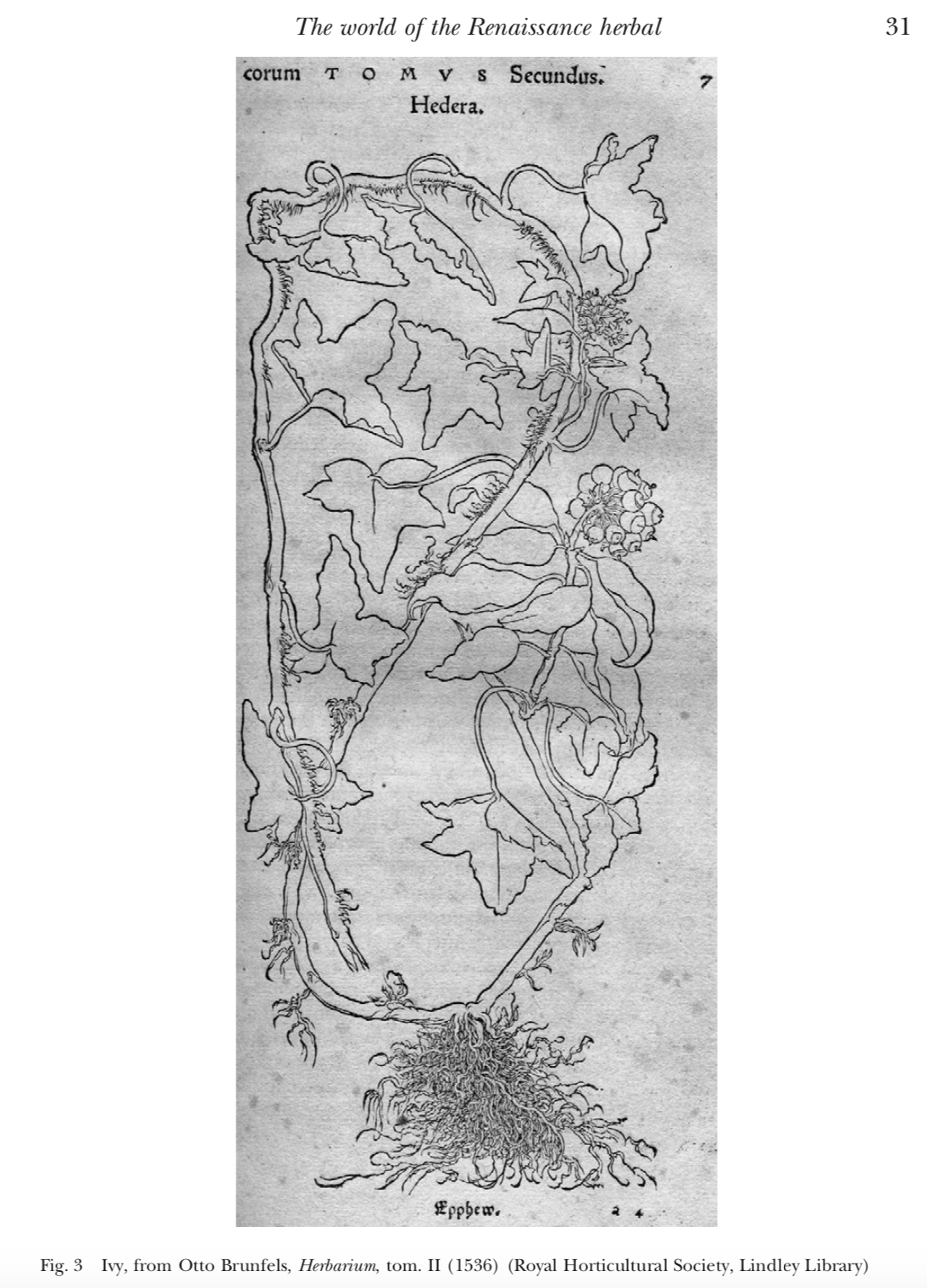 line drawing with more details