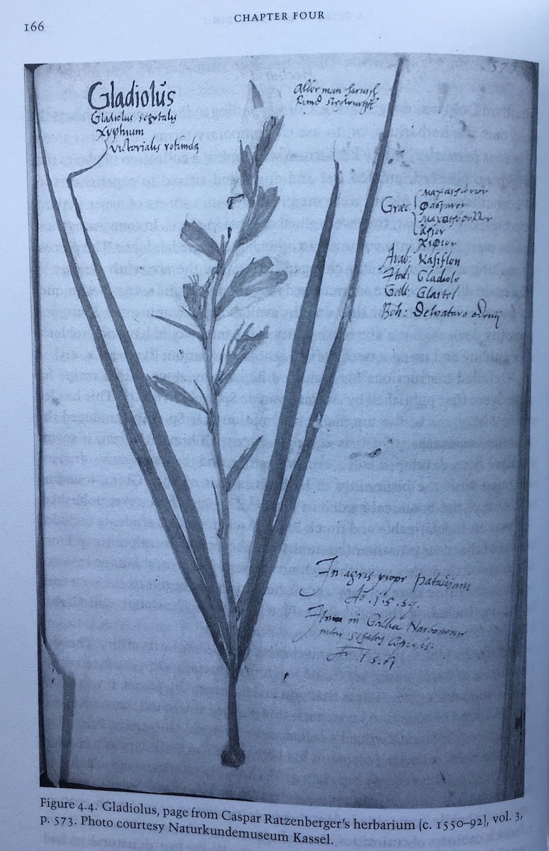 line drawing with more details