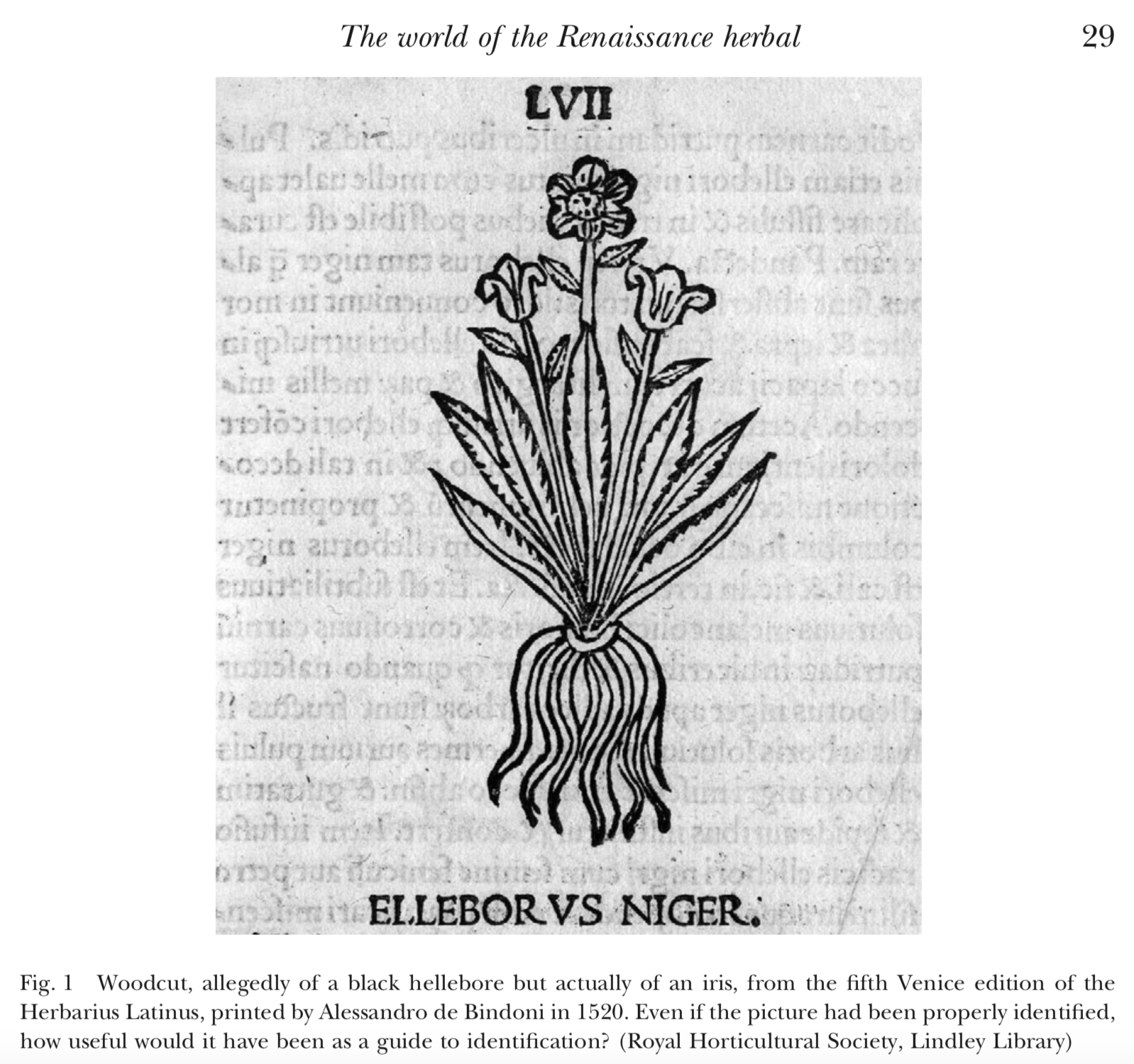 rough woodcut with few details